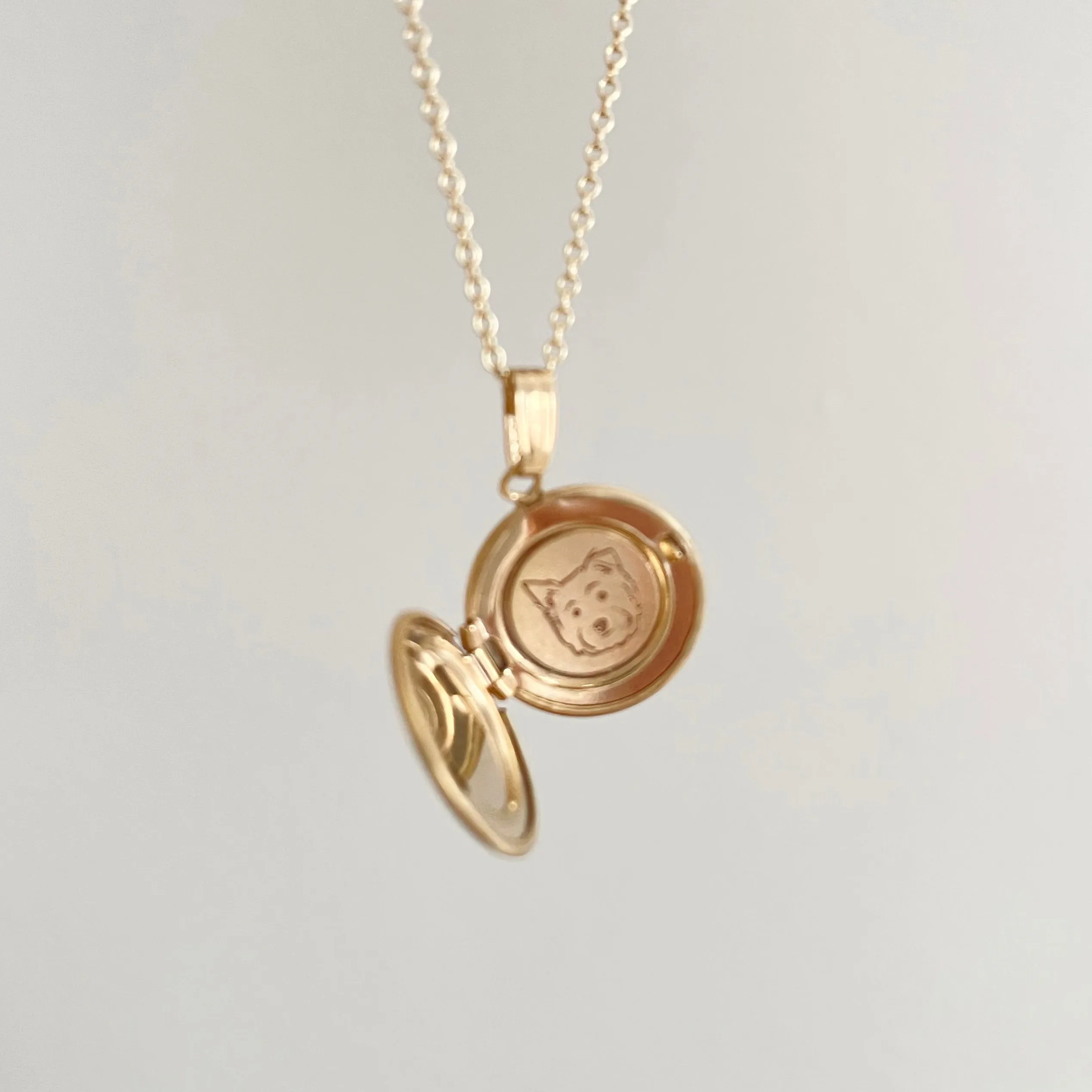 14K Gold Filled The Petite Silhouette Locket