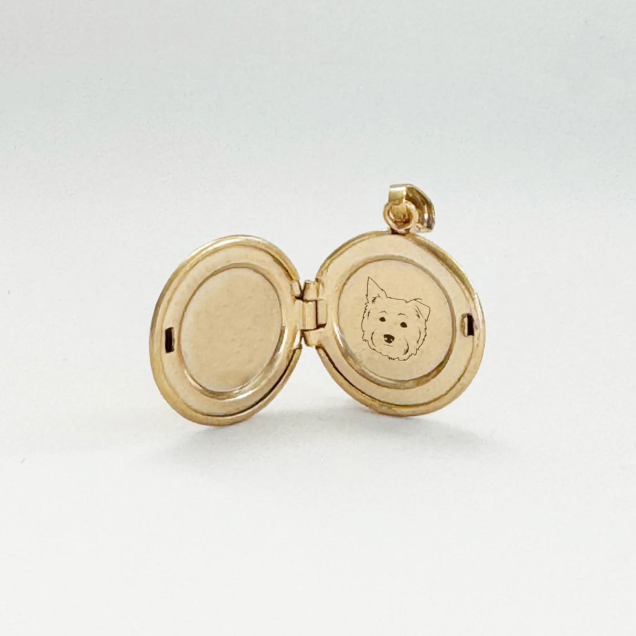 14K Gold Filled The Petite Silhouette Locket