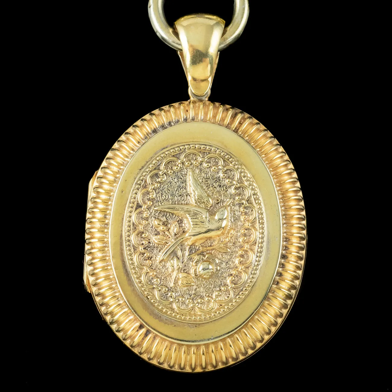 Antique Victorian Bird Locket And Collar Silver 18ct Gold Gilt