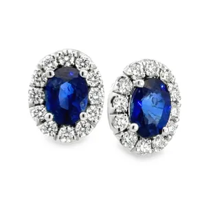 Diamond Halo and Sapphire Oval Shaped Stud Earrings