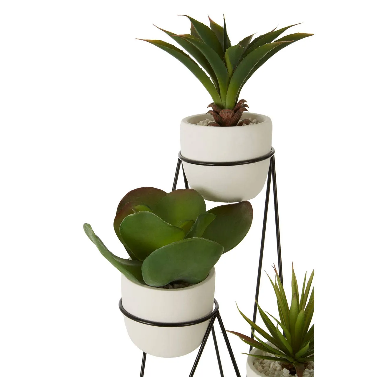 Fiori Set of 3 Succulents with Metal Stand