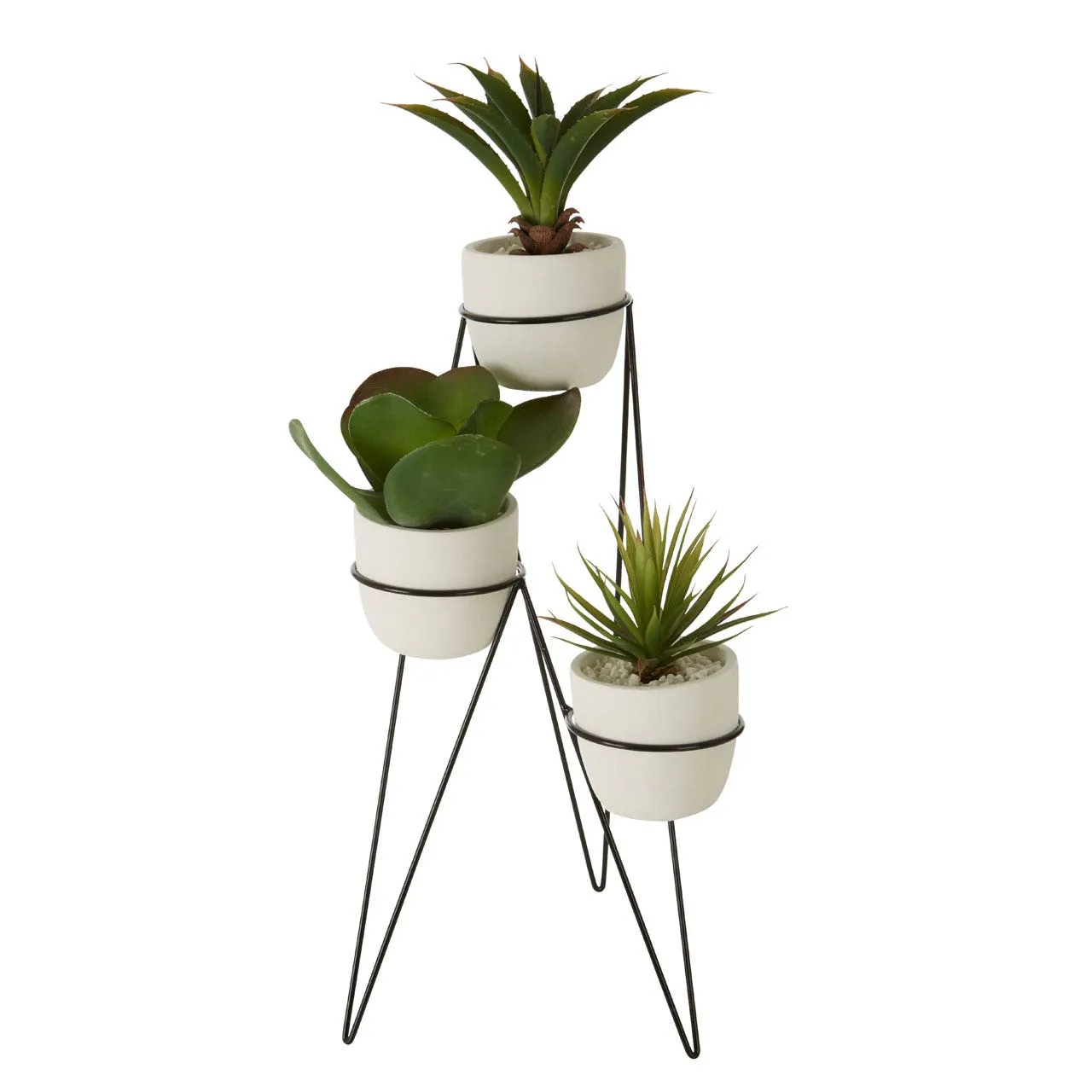 Fiori Set of 3 Succulents with Metal Stand