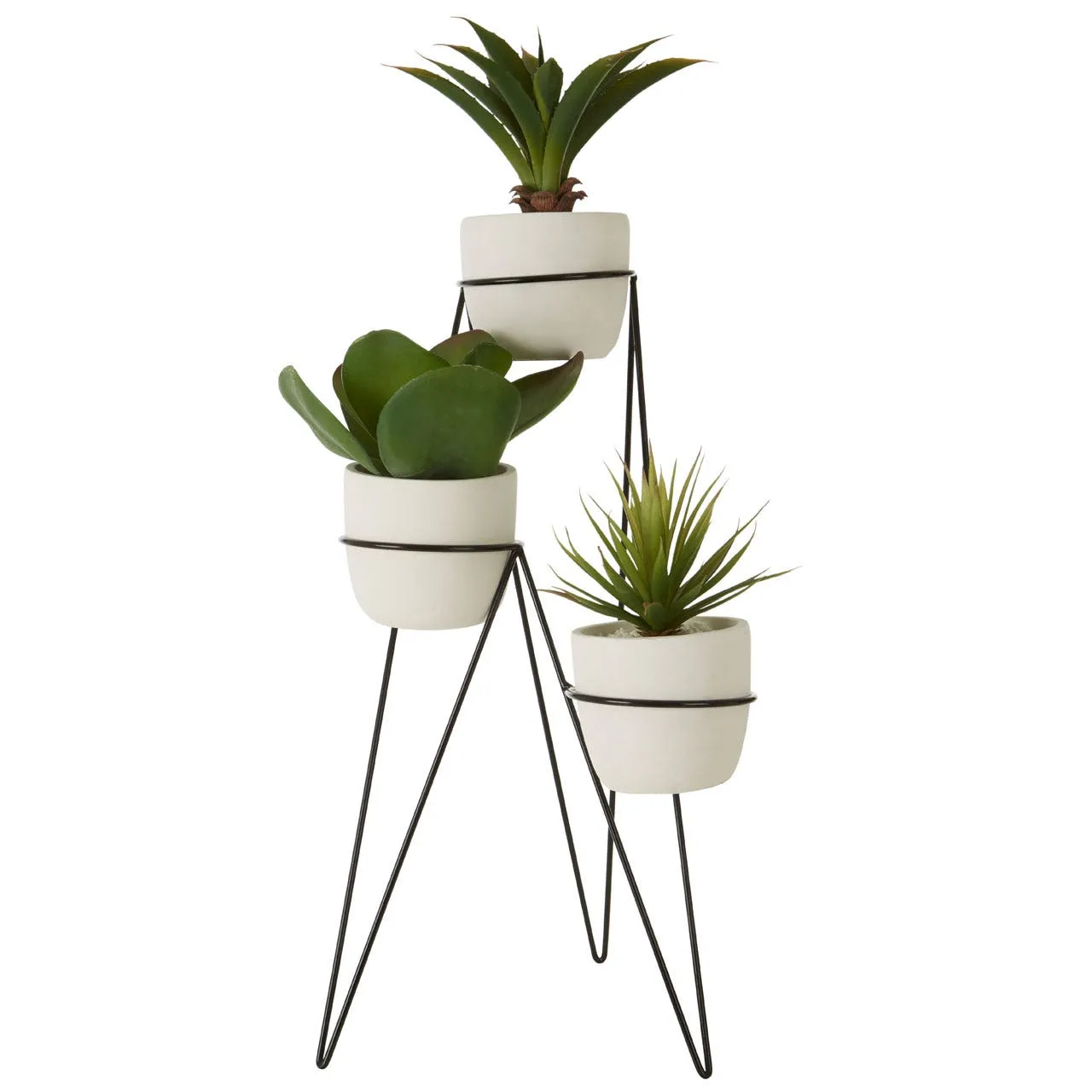 Fiori Set of 3 Succulents with Metal Stand