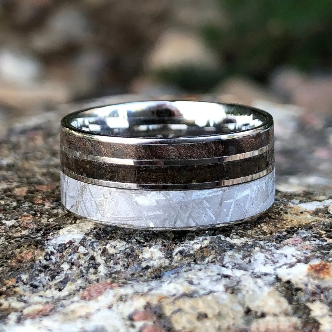 Gibeon Meteorite Wedding Ring w/ Redwood Inlay Authentic T-Rex Fossil Inlay