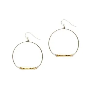 Gold and Silver Earrings