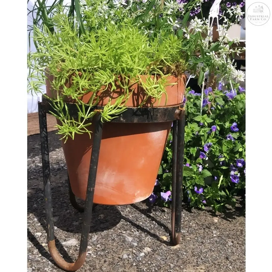 The Dorio Raised Planter